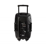 Hybrid PA15B 15″ Battery-Powered Bluetooth Speaker – 300W Peak with Wireless Mic