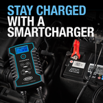 Ring RSC808 8A Smart Battery Charger
